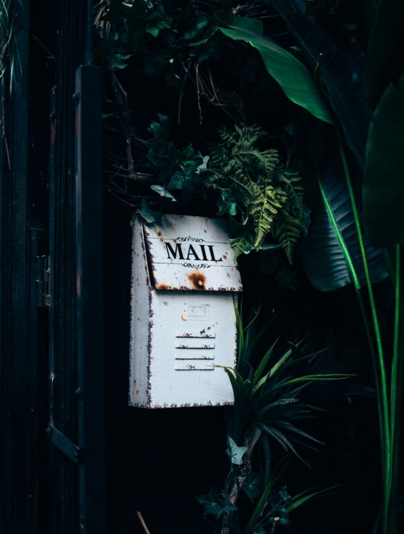 an old mailbox is surrounded by tropical plants